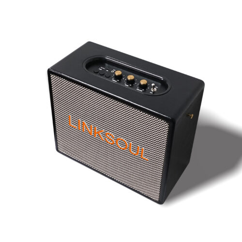 HT91 Powerful Wooden Karaoke Bluetooth Speaker